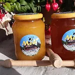 בית אירוח U Vlastika S Vyhrivanym Bazenem