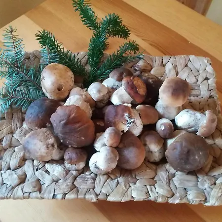 U Vlastíka Ubytování v soukromí *