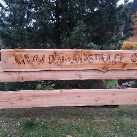 U Vlastíka S Vyhřívaným Bazénem Malá Morávka