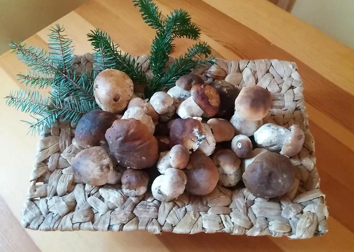 Chata U Vlastika Privatunterkunft *